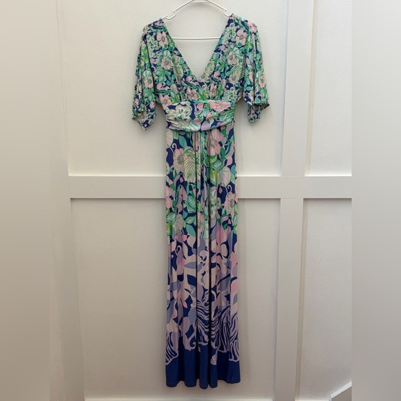 Lilly Pulitzer Parigi Maxi Dress - Picture 3 of 13